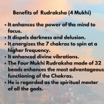 Original Rudraksha Beads ( 4 Mukhi ) - Nepal
