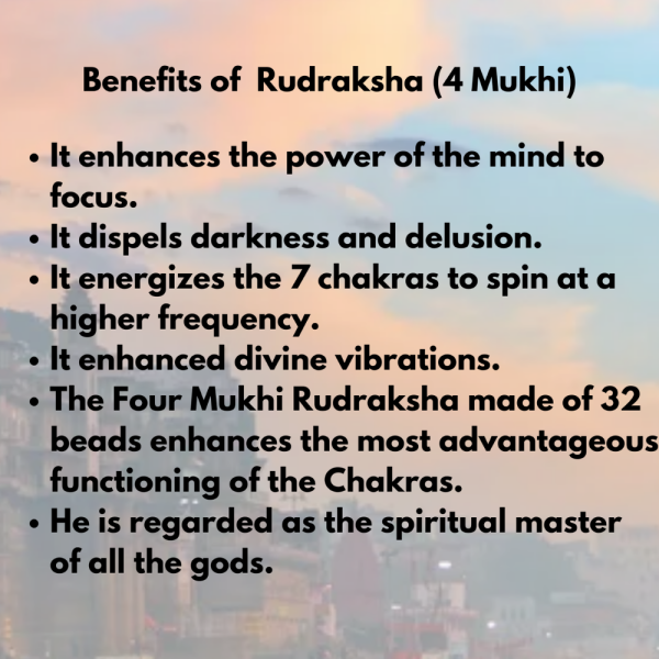 Original Rudraksha Beads ( 4 Mukhi ) - Nepal