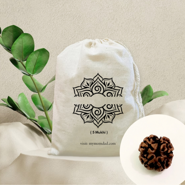 Original Rudraksha Beads ( 5 Mukhi ) - Nepal
