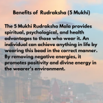 Original Rudraksha Beads ( 5 Mukhi ) - Nepal