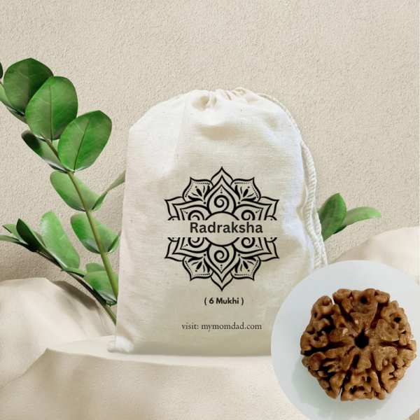 Original Rudraksha Beads ( 6 Mukhi ) - Nepal