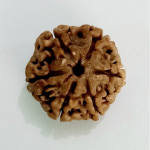 Original Rudraksha Beads ( 6 Mukhi ) - Nepal