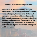 Original Rudraksha Beads ( 6 Mukhi ) - Nepal