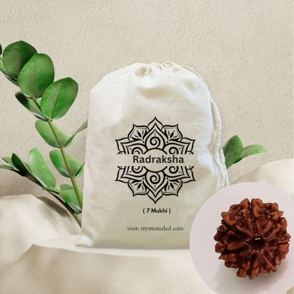 Original Rudraksha Beads ( 7 Mukhi ) - Nepal