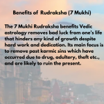 Original Rudraksha Beads ( 7 Mukhi ) - Nepal