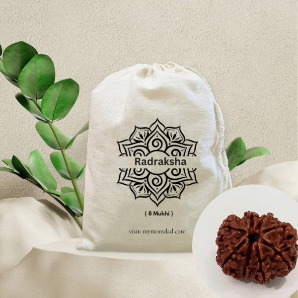 Original Rudraksha Beads ( 8 Mukhi ) - Nepal
