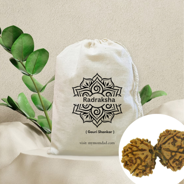 Original Rudraksha Beads ( Gauri Shankar ) - Nepal