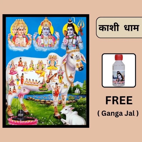 Gau Mata