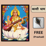Saraswati Mata Photoframe