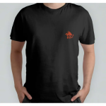 Charizard - Pokemon