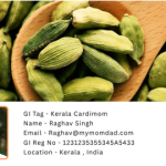 GI Tag - Kerala Green Cardimom