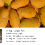 Langda Aam - GI Tag