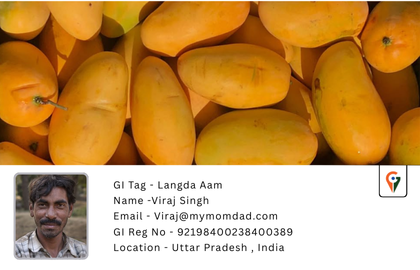 Langda Aam - GI Tag