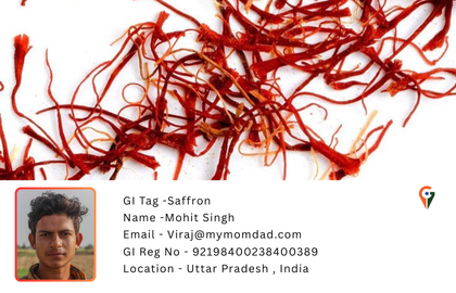 Kashmir Saffron - GI Tag